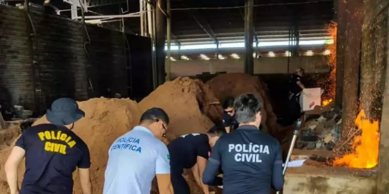 PC incinera drogas em Moju (Foto: Divulgação PCPA)