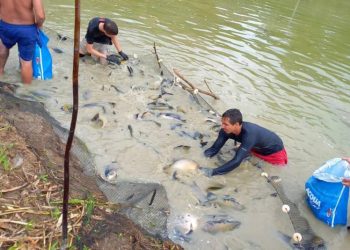 Foto: Divulgação/Agência Pará