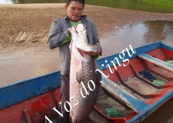 Homem conhecido na cidade de Vitória do Xingu pelo apelido de “Prefeito” é assassinado a golpes de faca