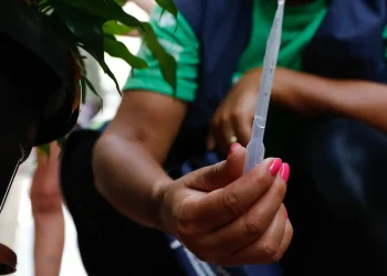 Distribuição da vacina contra a dengue começa na próxima semana