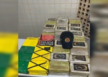 Tráfico: motorista é flagrado com 97 kg de drogas na BR-230, no sudoeste do Pará