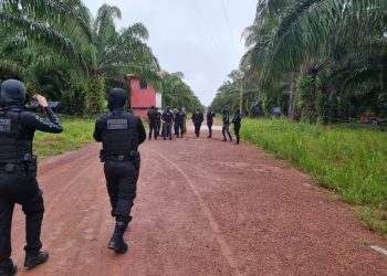 Operação 'Solimões' investiga crimes em Acará, no Pará. — Foto: Reprodução / PC-PA