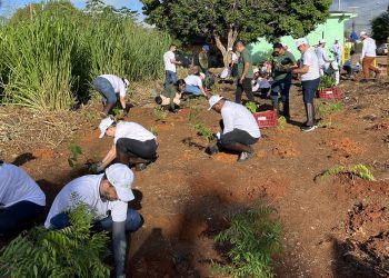 Foto: Particular Filmes / Divulgação Norte Energia