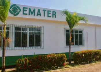 A empresa de Assistência Técnica e Extensão Rural do Estado do Pará (Emater Pará) publicou a realização de Processo Seletivo Simplificado – PSS