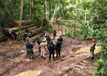 Foto: Divulgação Agência Pará