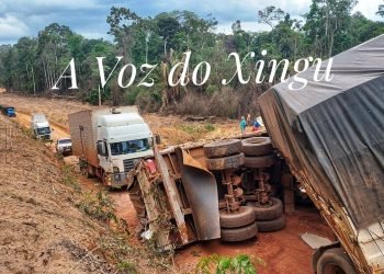 Foto: Daniel Corrêa / A Voz do Xingu