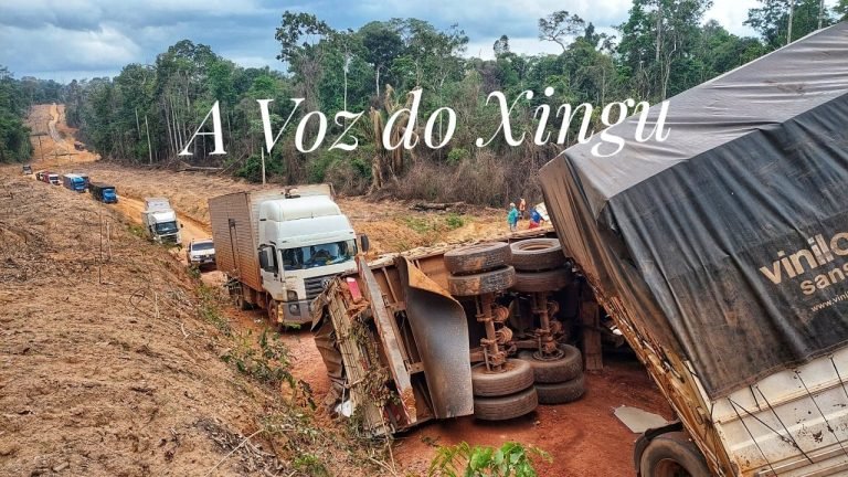 Foto: Daniel Corrêa / A Voz do Xingu