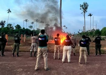 Fazendeiro comandava criação de gado em área de proteção ambiental no Pará