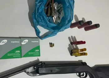 Arma de fogo e munições são apreendidas após homem ameaçar companheira, em Itaituba