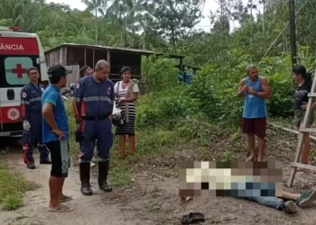 Homem morre ao receber descarga elétrica durante limpeza de terreno, em Santarém