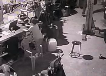 Pai ensina filho a roubar e choca internautas em Altamira, no Pará