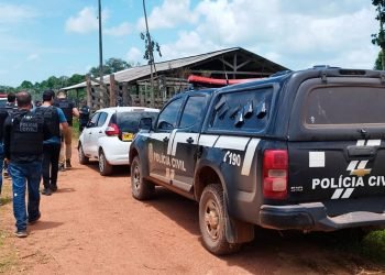 Altamira: Homem é preso em flagrante por furto de gado