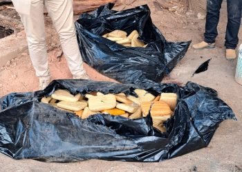 Polícia incinera 77 quilos de entorpecentes, em Pacajá