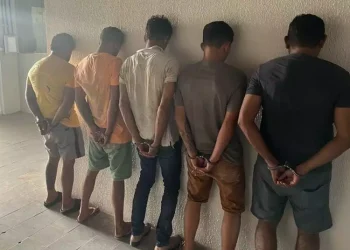 No total, foram seis meses de investigações, para que os agentes fizessem a identificação dos envolvidos. (Divulgação/ PC)