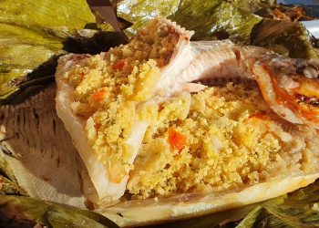 Foto: Wilson Soares / A Voz do Xingu