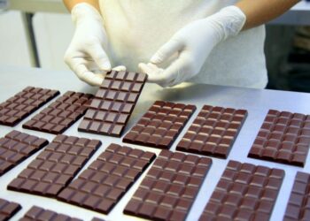 Com apoio do Estado, produção e exportação do cacau paraense crescem com reconhecimento internacional