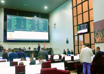 Marajó pode ter Área de Livre Comércio; saiba como