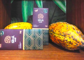 Foto: Divulgação / Norte Energia