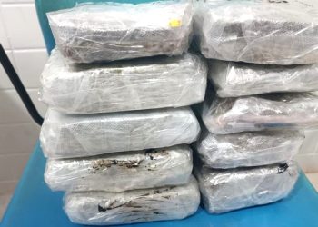 Mais de 8kg de drogas despachados em Santarém são apreendidos em micro-ônibus em Medicilândia