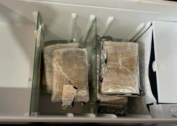 Em Altamira, Polícia Civil apreende 8kg de drogas