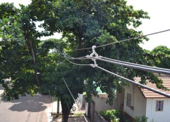 Equatorial Pará realiza trabalho de poda e limpeza de faixa em Senador José Porfírio