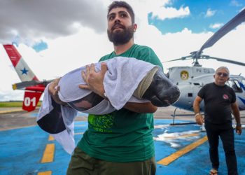 Foto: Wellyngton Coelho / Ag. Pará