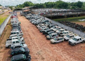 Foto: Divulgação / Agência Pará