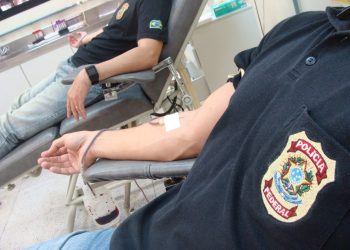 Policiais federais de Altamira demonstram solidariedade em campanha de doação de sangue