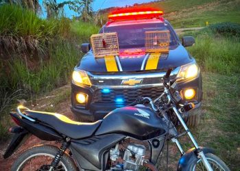 PRF recupera veículo roubado e resgata aves silvestres em Novo Repartimento, no Pará