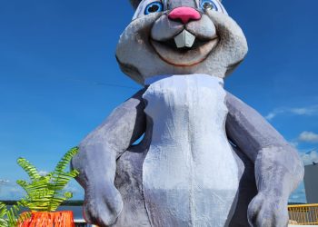 Foto: Wilson Soares / A Voz do Xingu