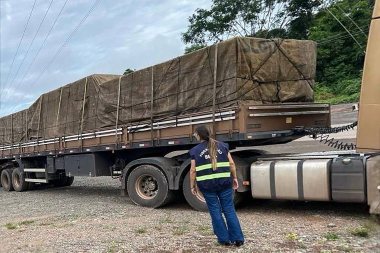 Avaliada em R$ 1.758.240,00, a carga que saiu de Tucuruí com destino a Guarulhos (SP) estava com irregularidades na nota fiscal — Foto: Sefa/Ascom