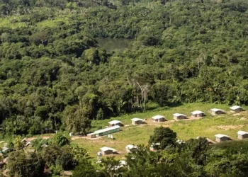 Decisão deve ser cumprida em até 180 dias (Foto: Mário Vilela /Funai (imagem meramente ilustrativa)
