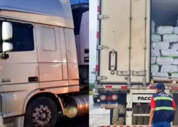 Sefa apreende 30 toneladas de açaí em São Francisco do Pará