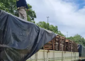 Carga de 89 m³ de madeira ilegal é apreendida em caminhão, em Marabá