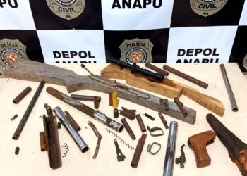Fabricante clandestino de armas é preso em flagrante, em Anapu