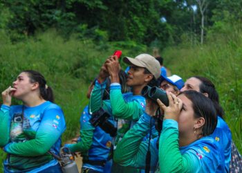 Foto: Agência Pará/Divulgação