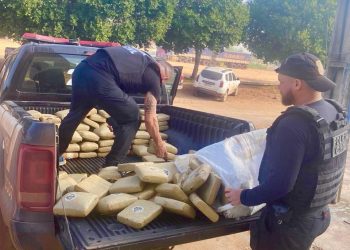 Altamira: Polícia incinera mais de 400 quilos de entorpecentes, em Castelo de Sonhos