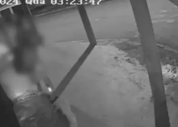 (Reprodução/ Redes Sociais)