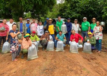 Foto: Divulgação / Agência Pará