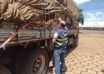 Sefa apreende 7 toneladas de materiais de construção em Dom Eliseu