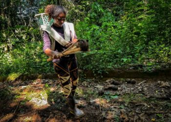 Foto: João Vitor Santos / Ascom Ideflor-Bio