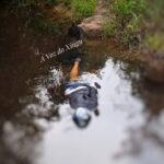 Corpo é encontrado boiando em um igarapé na zona rural de Vitória do Xingu, no PA