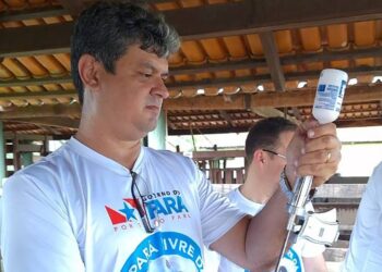 Pará encerra, nesta terça (30/4), última campanha de vacinação contra a febre aftosa