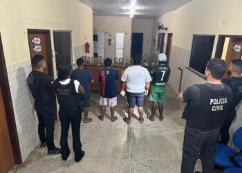 Polícia Civil de Igarapé-Açu investiga denúncia de tráfico de animais silvestres