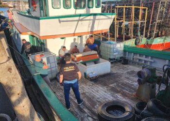 PF desmonta esquema internacional de tráfico de drogas com origem no Pará — Foto: Polícia Federal