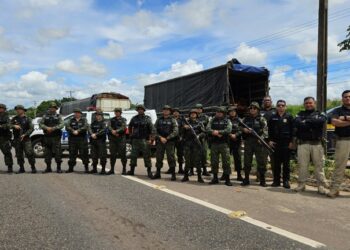 Operação Integrum: PRF realiza nivelamento de fiscalização de produtos florestais no Pará