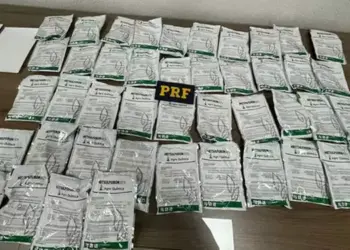 Polícia rodoviária Federal apreendeu 11 kg de agrotóxicos ilegais em Marabá (Foto: Polícia Rodoviária Federal)