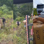 Caminhão tomba e população saqueia carga em Mãe do Rio, no Pará