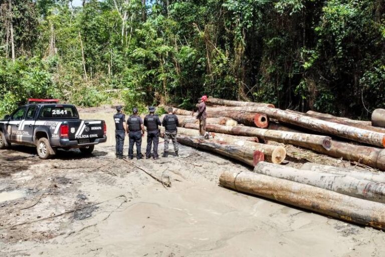 Foto: Agência Pará