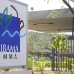 Servidores do Ibama rejeitam proposta do governo em 22 estados